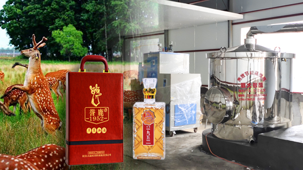 用大型釀酒設(shè)備釀鹿茸酒，走出黑龍江生態(tài)旅游發(fā)展特色之路！