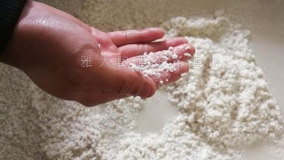 10年釀酒經(jīng)驗(yàn)的大型釀酒設(shè)備廠家，教您做金銀花糯米酒！