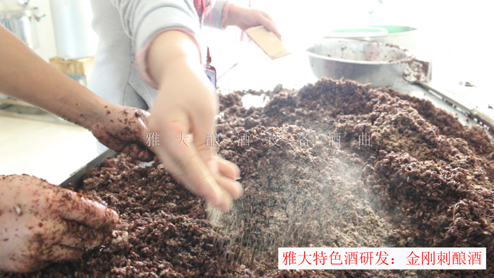 新型釀酒設(shè)備釀造的金剛刺酒賣188元一斤，唐總卻不知足…