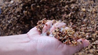 小型酒廠釀酒設備蒸酒時，酒醅含水量與酒質(zhì)有何關(guān)系？