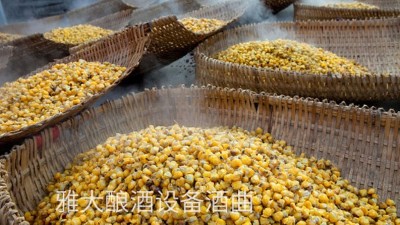 看過(guò)來(lái)，用玉米釀酒設(shè)備制作整料玉米酒的標(biāo)準(zhǔn)教程在這里！