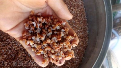 用高粱釀酒設(shè)備做高粱酒時(shí)不加糠殼，可以釀出酒來(lái)嗎？