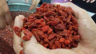 學(xué)會(huì)枸杞酒的三種常見釀酒技術(shù)，您就是釀酒高手！