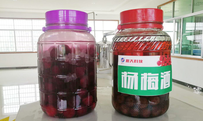 雅大春季教學(xué)員釀造的楊梅酒.jpg