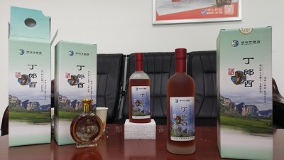 農(nóng)村到處可見的野果，用小型白酒設備釀成酒被稱為男人的加油站！