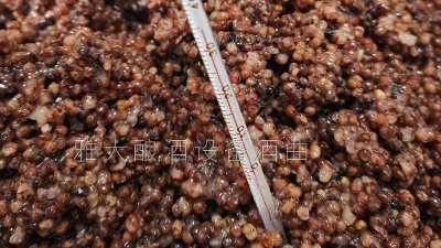 引進不銹鋼釀酒設(shè)備，巧妙搭配5種糧食，打造小而美個性酒坊
