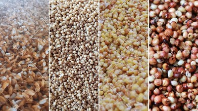 釀酒設(shè)備廠家專家提醒：糧食選擇不對，您釀的酒將無人問津