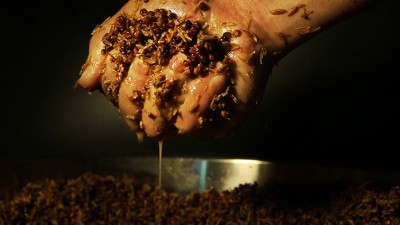 明明發(fā)酵得很好，為什么用小型釀酒設(shè)備蒸酒時(shí)就是不出酒？