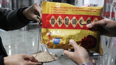 為了多出酒，100斤糧食多加1倍用量的酒曲，結(jié)果……