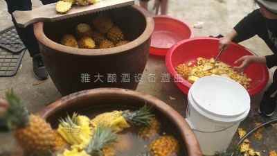 用果酒釀酒設(shè)備做菠蘿酒，簡單易學(xué)，只需簡單幾步。