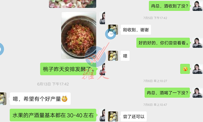 10.28雅大幫忙研發(fā)的黃桃酒，冉總品嘗后很滿意