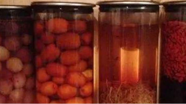 蒸餾釀酒設(shè)備：常見的6種野果，泡成酒連老酒鬼們都念念不忘！