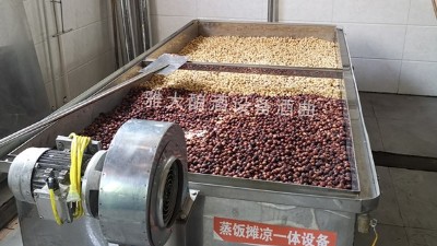 蓮子酒怎么做？11步教您用小型酒廠釀酒設(shè)備做出美味蓮子酒