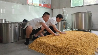 零基礎用做酒設備釀酒，必須要掌握糖化和酒化的6大要點！