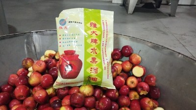 龍豐果酒怎么釀？雅大小型酒廠釀酒設(shè)備現(xiàn)場教您釀！